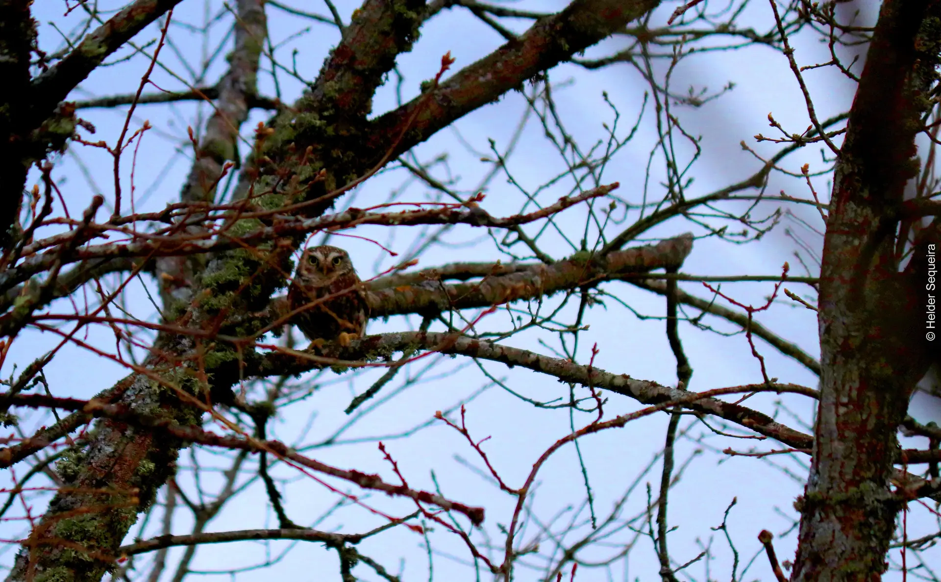 #OMUNDODAMINHAJANELA Fotogaleria #13 Portugueses em casa