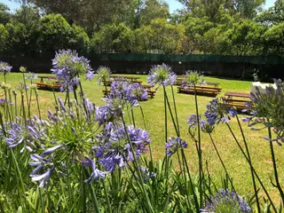 Monsantos Open Air Restaurant: o arraial vai começar!