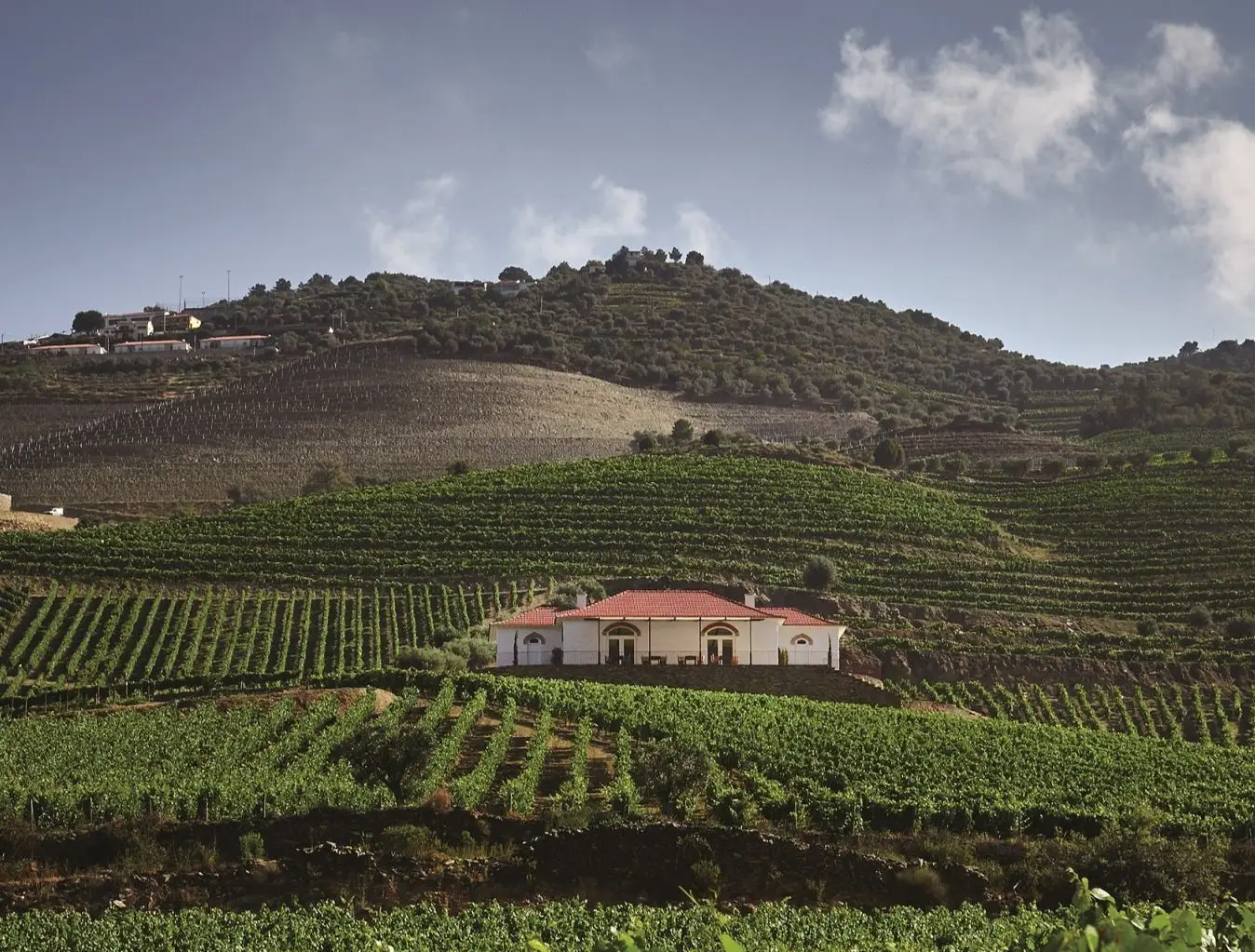 Com restaurante pop up, Pedro Lemos regressa ao Douro para cozinhar o melhor da região