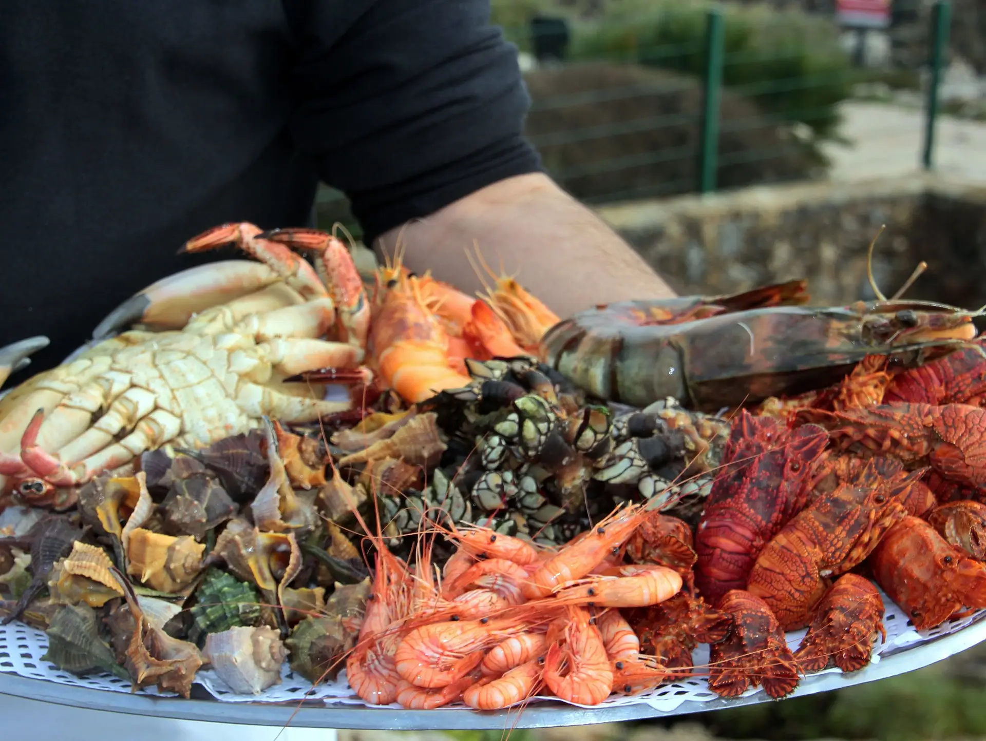 Verão em Cascais: O culto do peixe e do marisco com o mar no horizonte