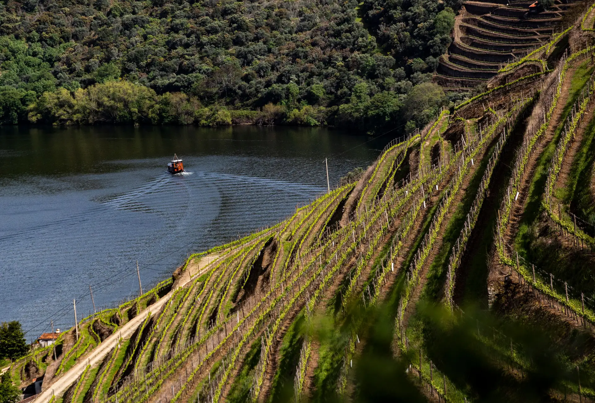 "Douro, um excesso da natureza"