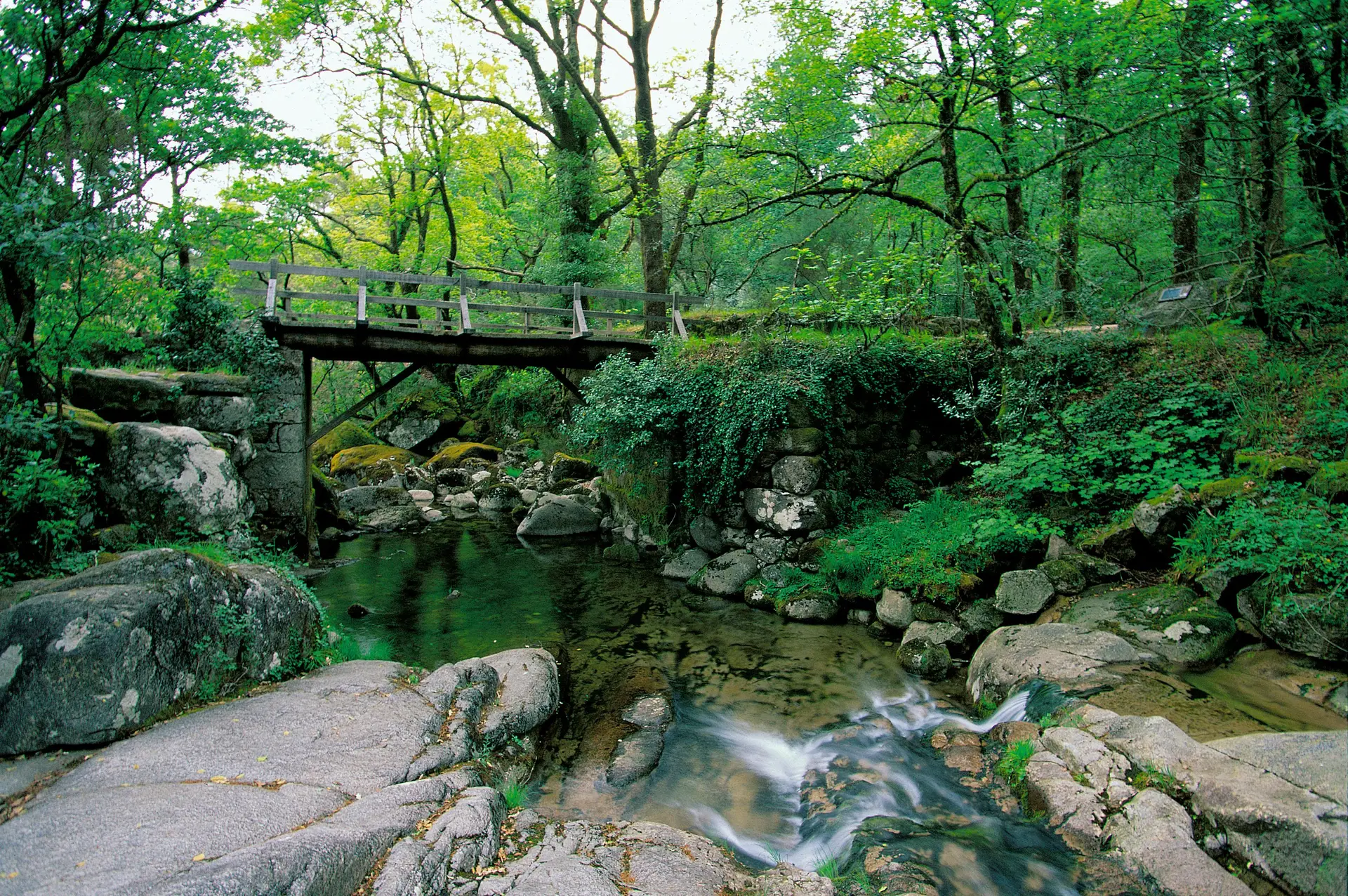 "Desvendar os segredos do Parque Nacional da Peneda-Gerês"
