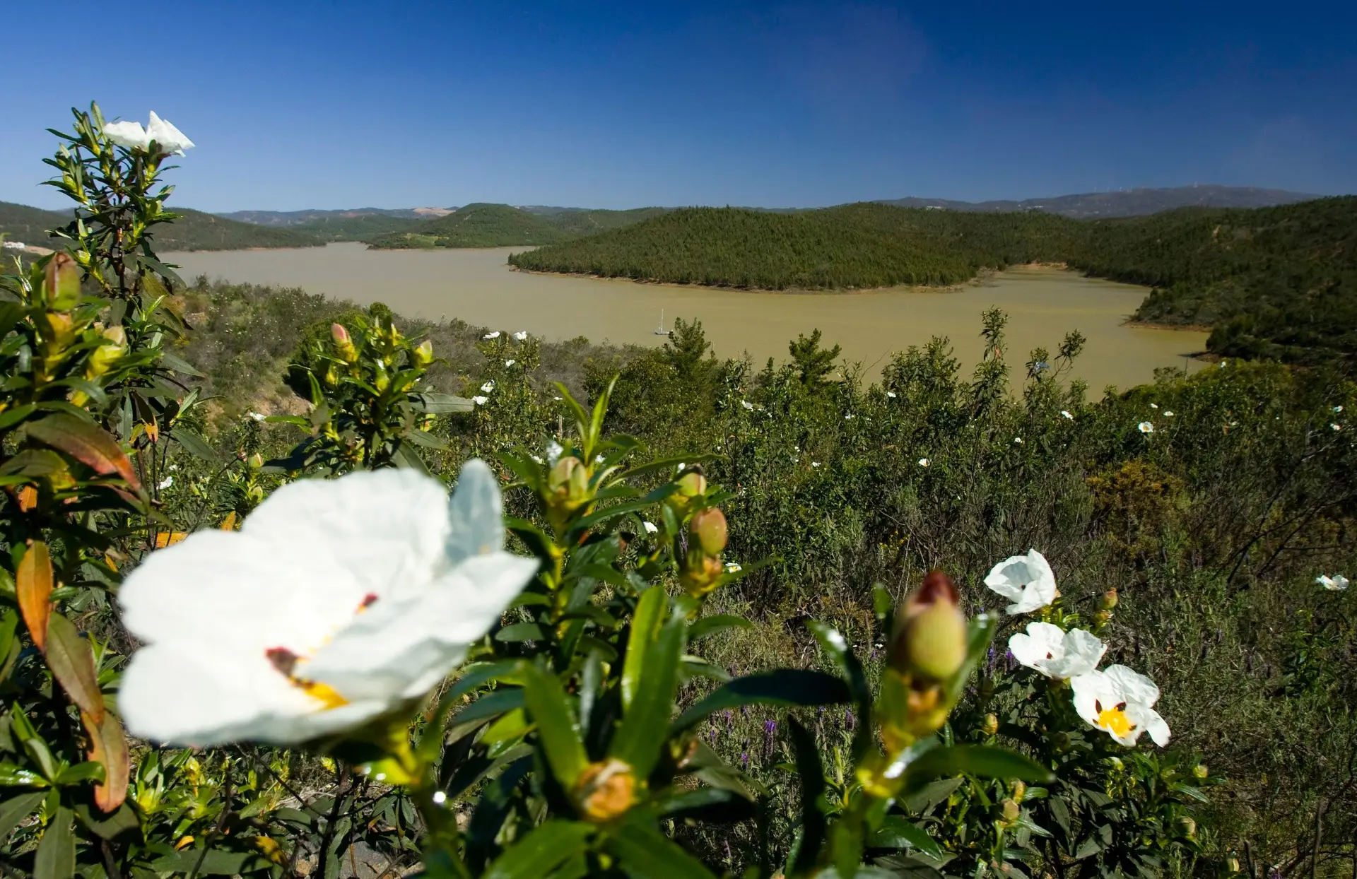 "Longe da confusão no Barlavento Algarvio"