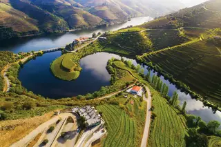Vila Galé Douro Vineyards