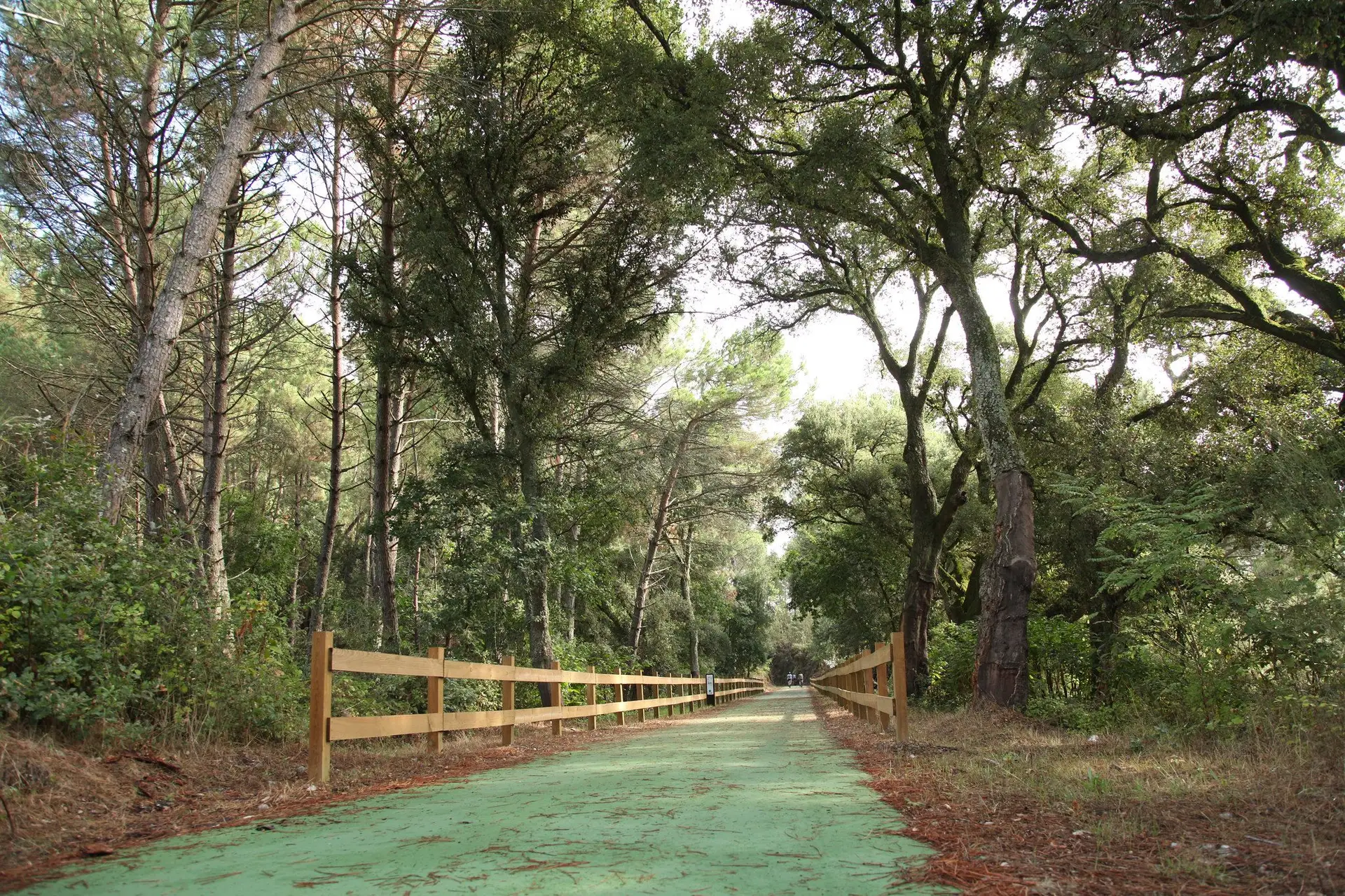 A pé ou de bicicleta: rotas de descoberta no Centro de Portugal