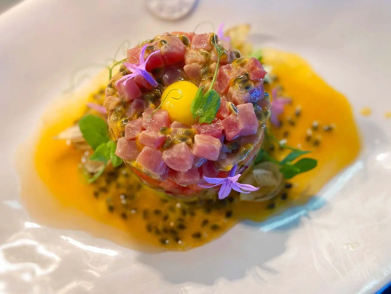 Ceviche, muxama, pica-pau, tártaro ou hambúrguer: Menu especial celebra mês do atum no Algarve
