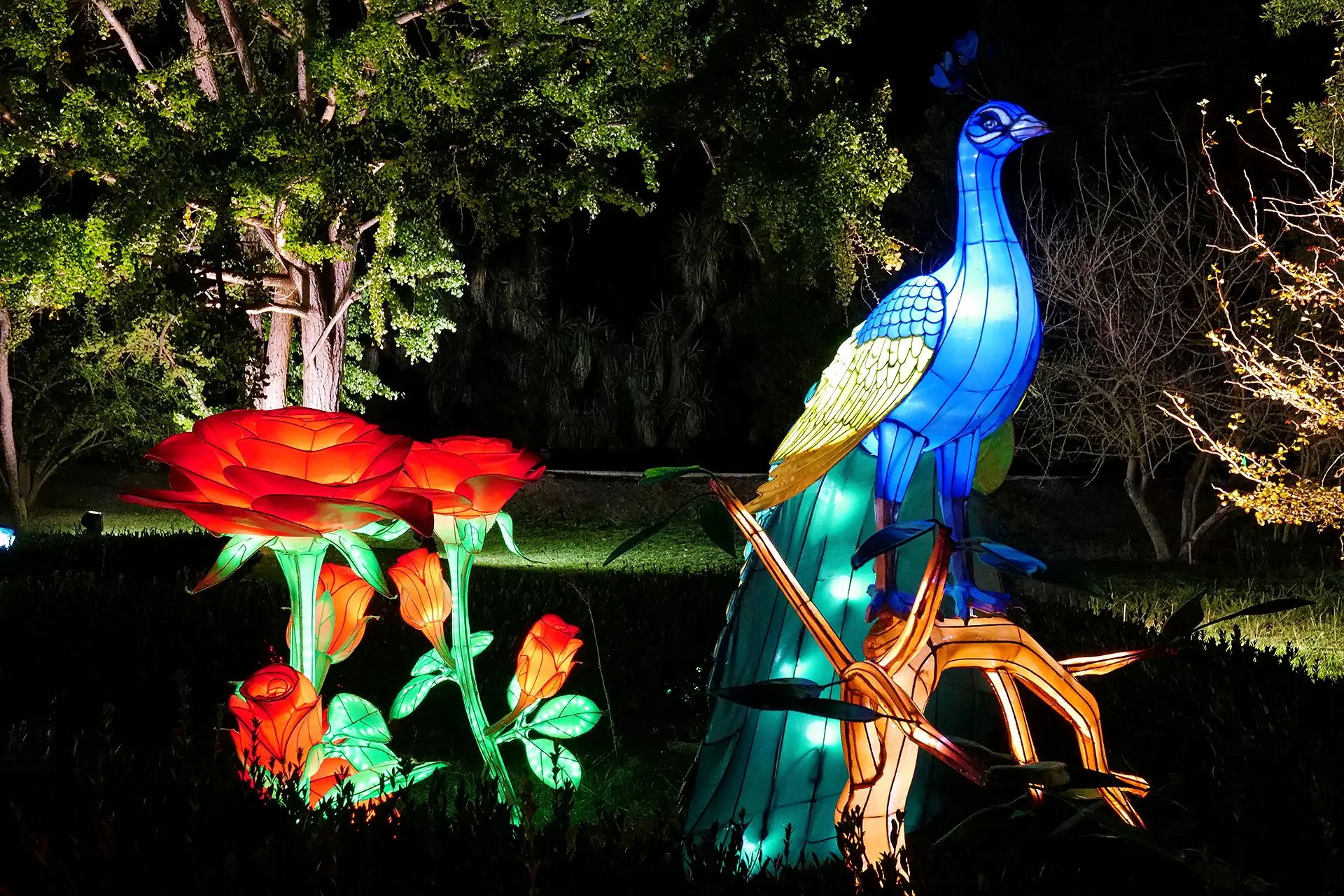 Dinossauros, luzes, magia, ação! Um passeio noturno em família pelo Magical Garden Belém