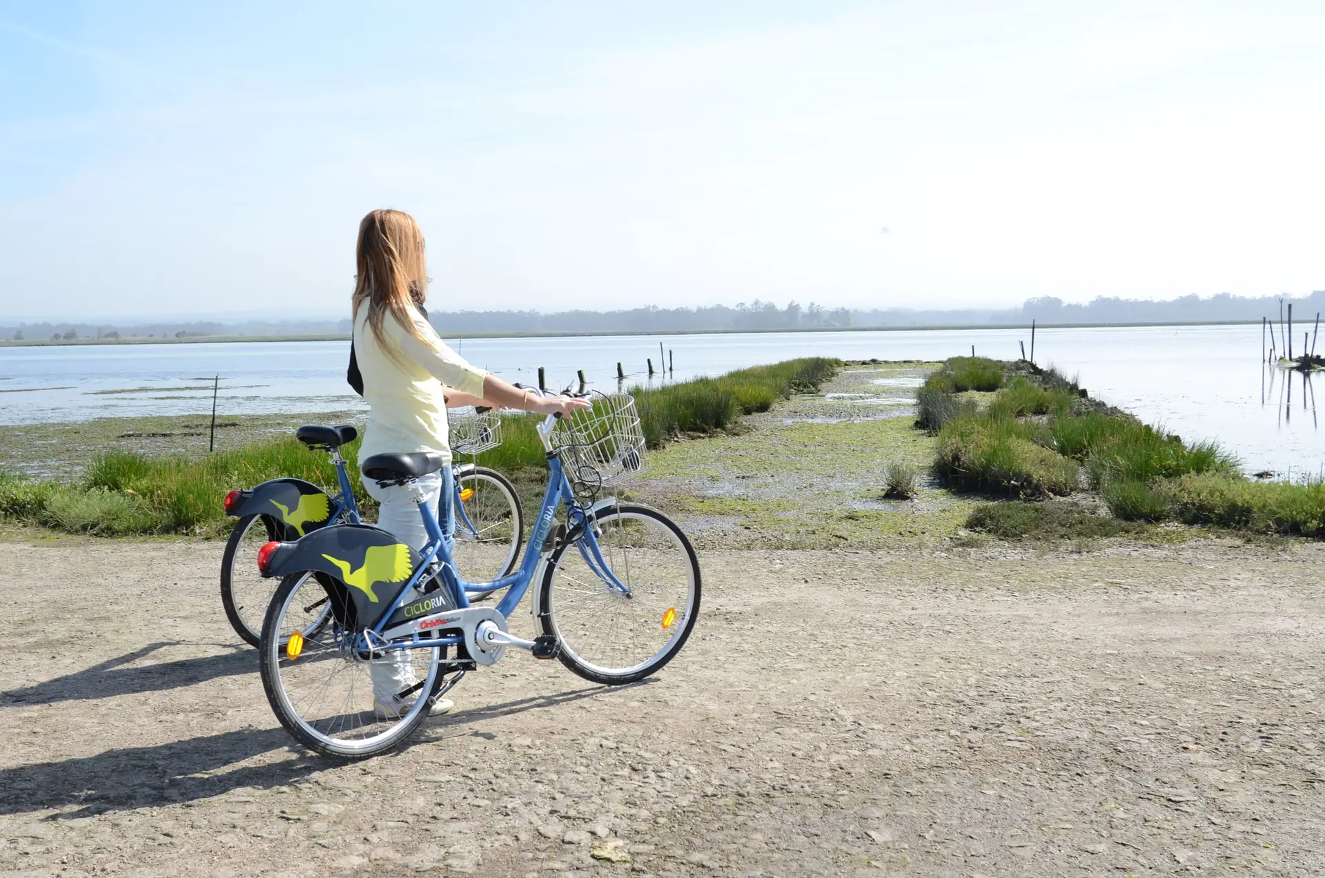 Boa Cama Boa Mesa na SIC Notícias: Inspirados pela ria, entre Ovar e Estarreja