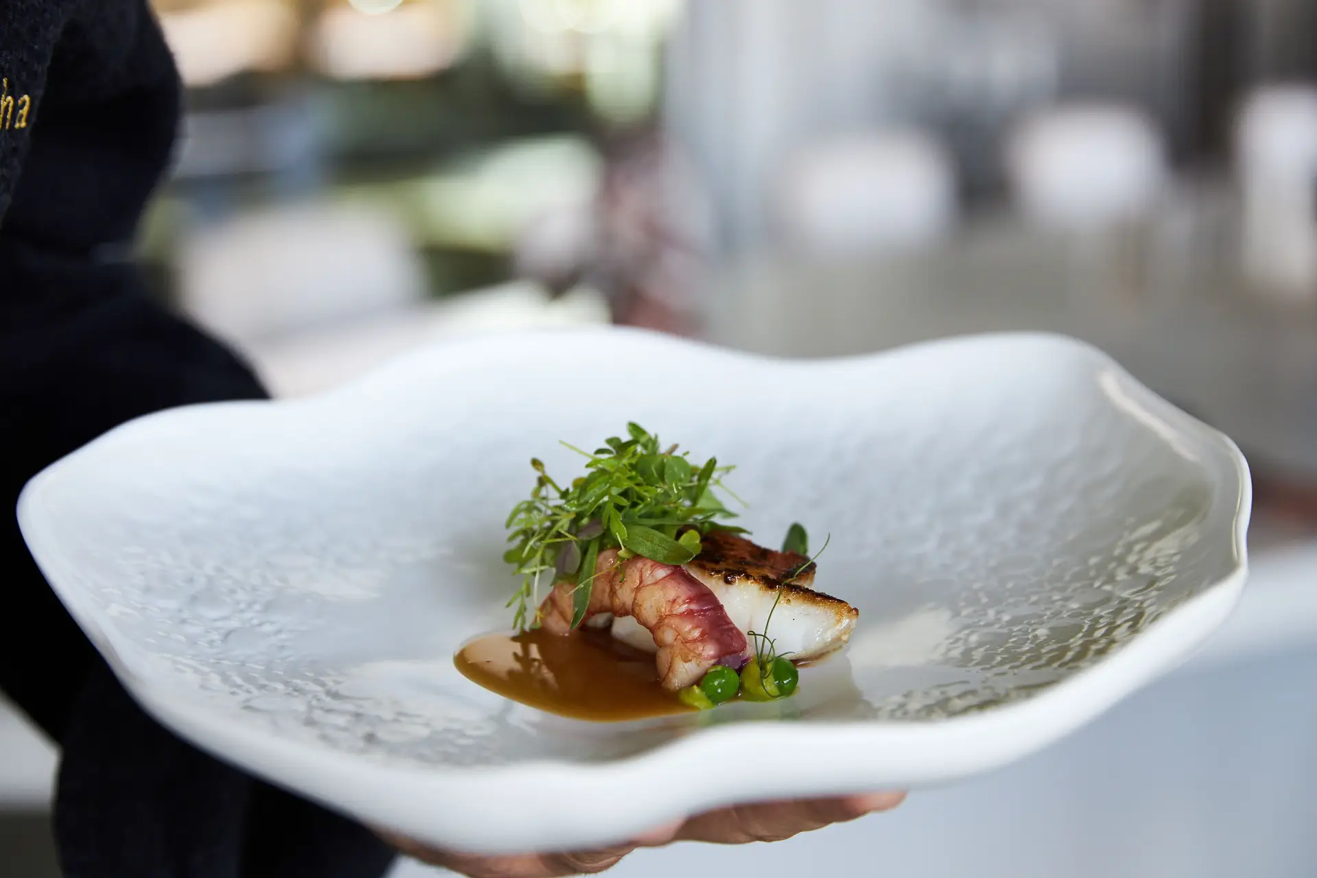 Evento gastronómico leva chefs premiados à Madeira em busca dos melhores produtos locais