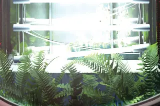 Melhores do Ano BLITZ: e o melhor álbum nacional de 2017 é...