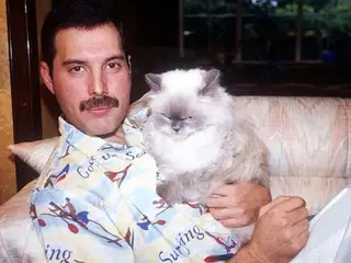 Freddie e Tiffany