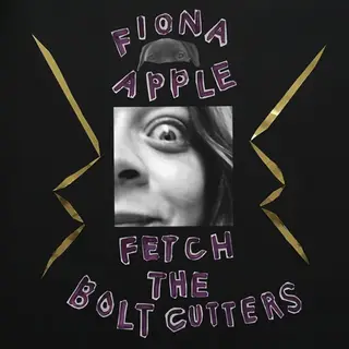 "Pegue os cortadores de parafuso", De Fiona Apple