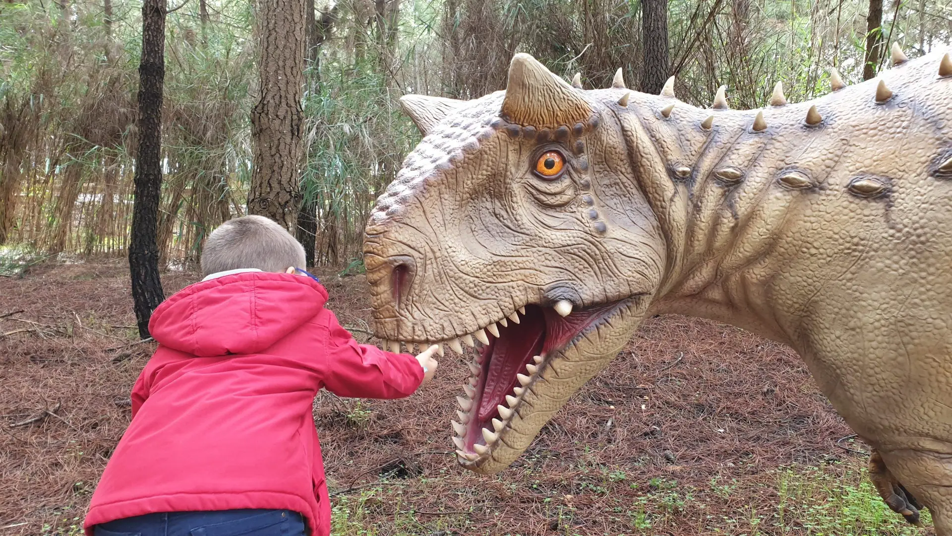 Uma entrada “grátis” só por ter cartões de um hipermercado