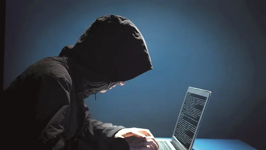 SIBS e EDP juntam-se para evitar fraudes em pagamentos
