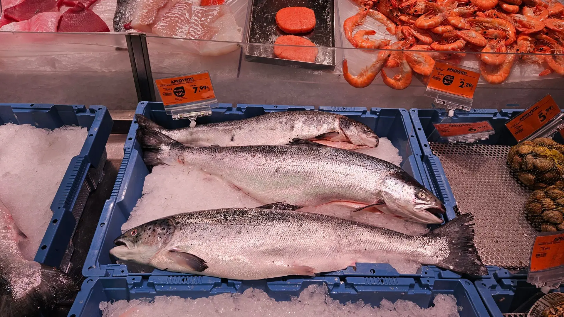 Como compro lombos de salmão mais baratos do que fiambre