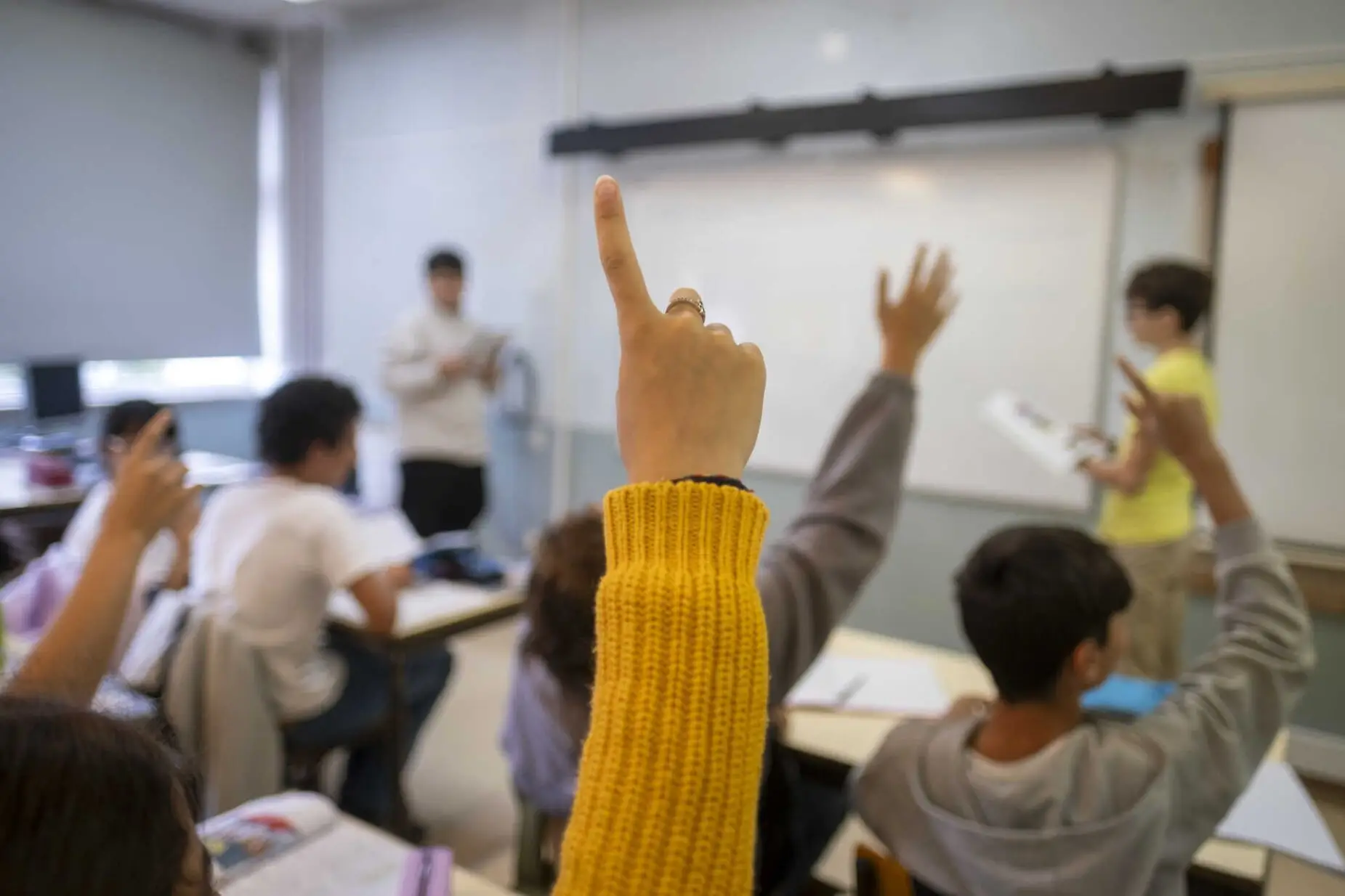Novo guião da disciplina de Cidadania com mais literacia financeira e menos sexualidade