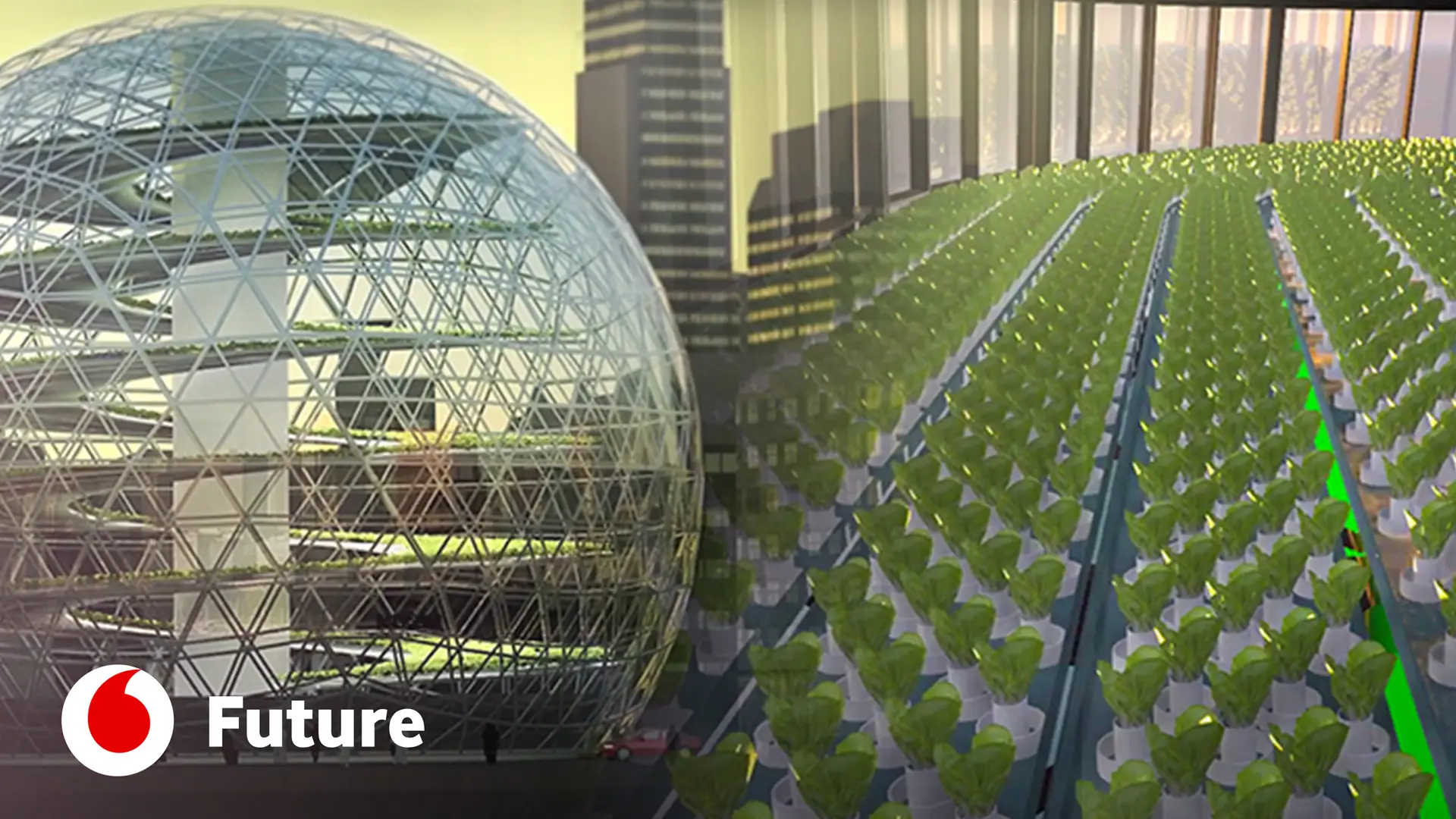 Campos de cultivo em edifícios para alimentar as cidades