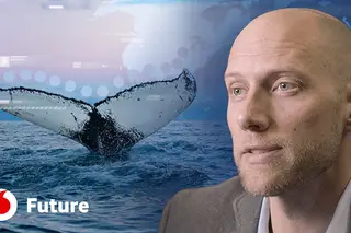 Máquinas Inteligentes para ajudar a salvar o planeta