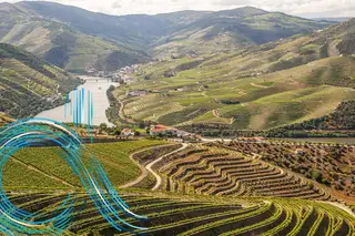 Agricultura de precisão: as tecnologias mais usadas