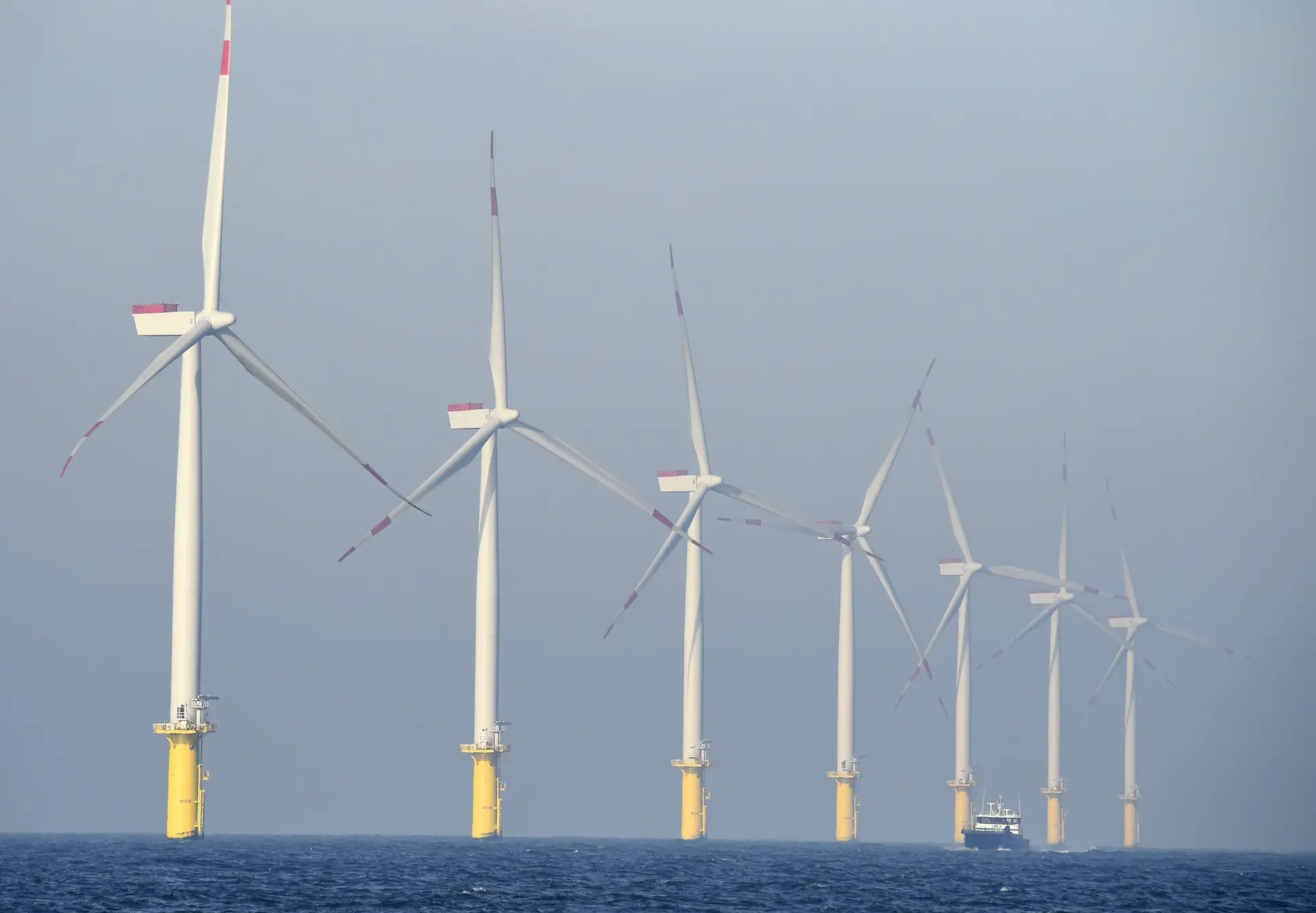 Governo conta com eólica marítima e hidrogénio para a autonomia energética