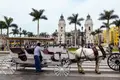 Lima Quero-a só para mim