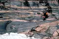 Afinal pode ter existido vida na Terra há mais tempo do que se pensava