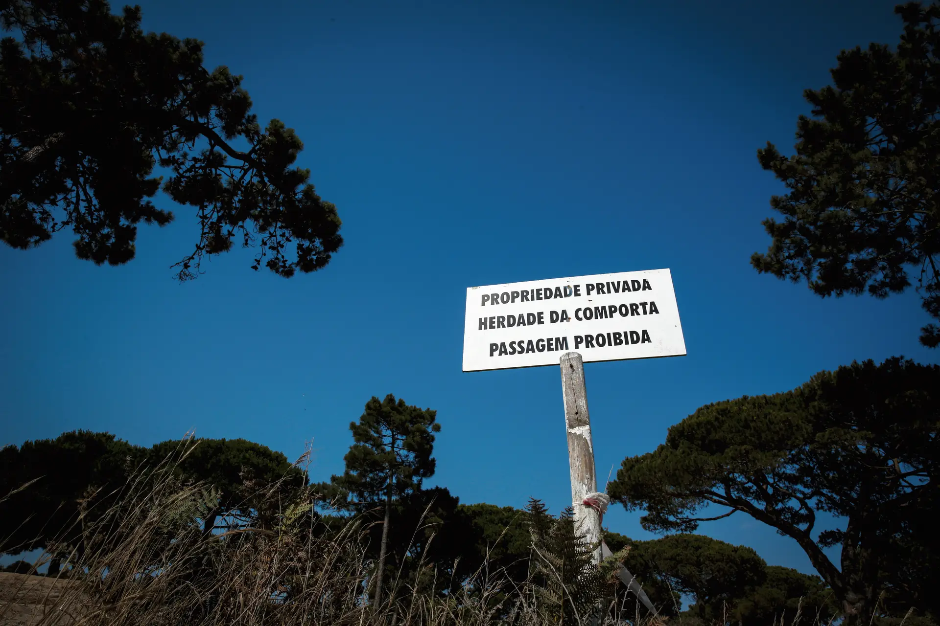 Herdade da Comporta (de novo) à venda