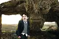 Uma calorosa aventura ..