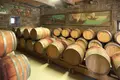 Capital de risco está a voltar-se para o vinho