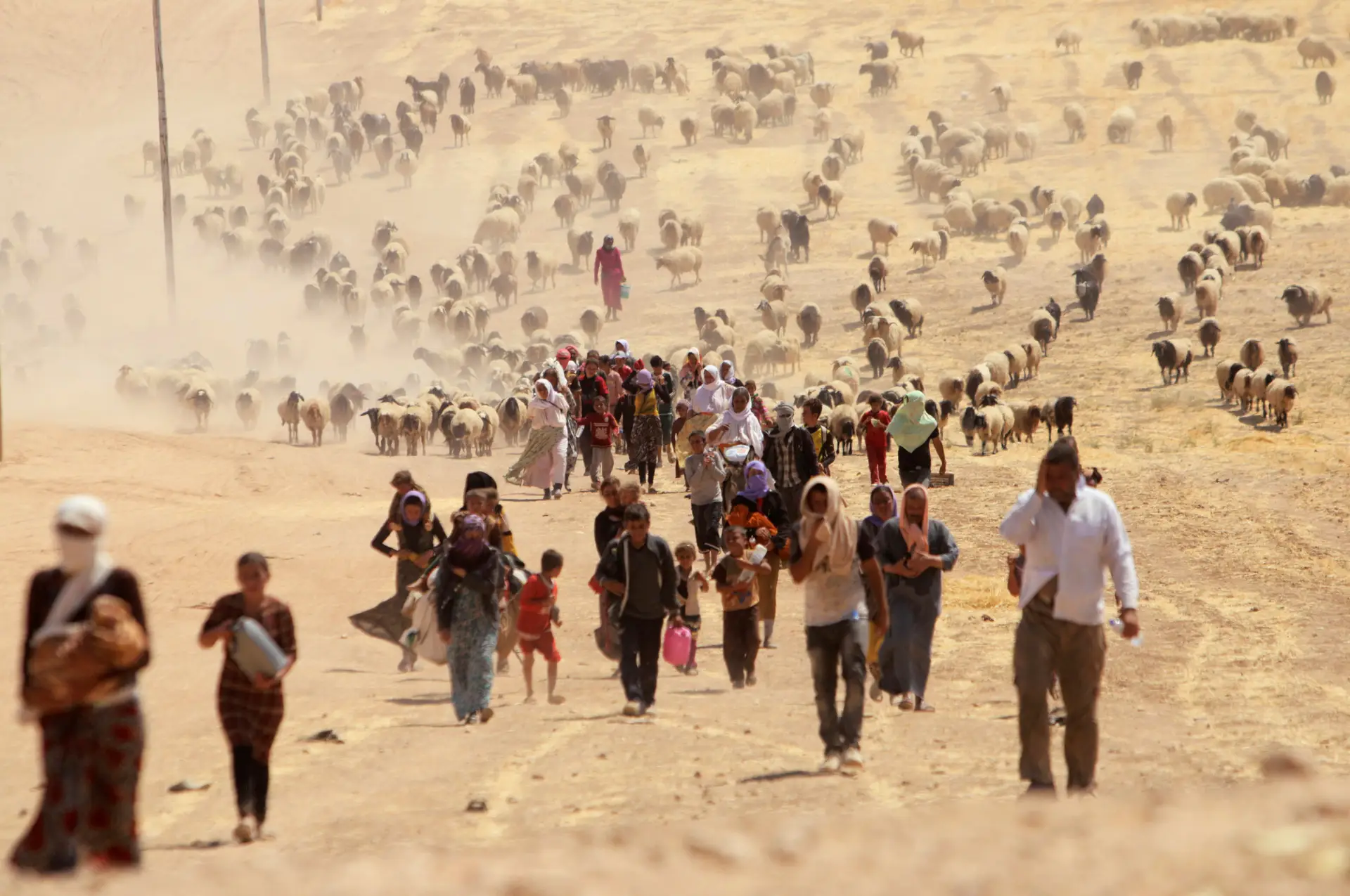 Perseguidos pelo Daesh no Iraque, os yazidis contribuíram para o aumento do número de refugiados no mundo