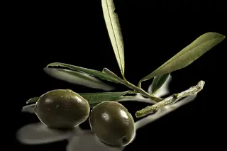 Portugal no top 5 mundial dos exportadores de azeite