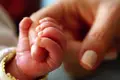 Número de bebés volta a aumentar