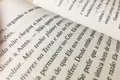 “O acordo ortográfico tem de ser melhorado. Se não houver essa consciência, vai tudo por água abaixo e boa viagem”