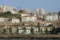 Gaia vai criar uma cidade do vinho