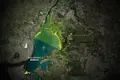 Aves e aviões em rota de colisão