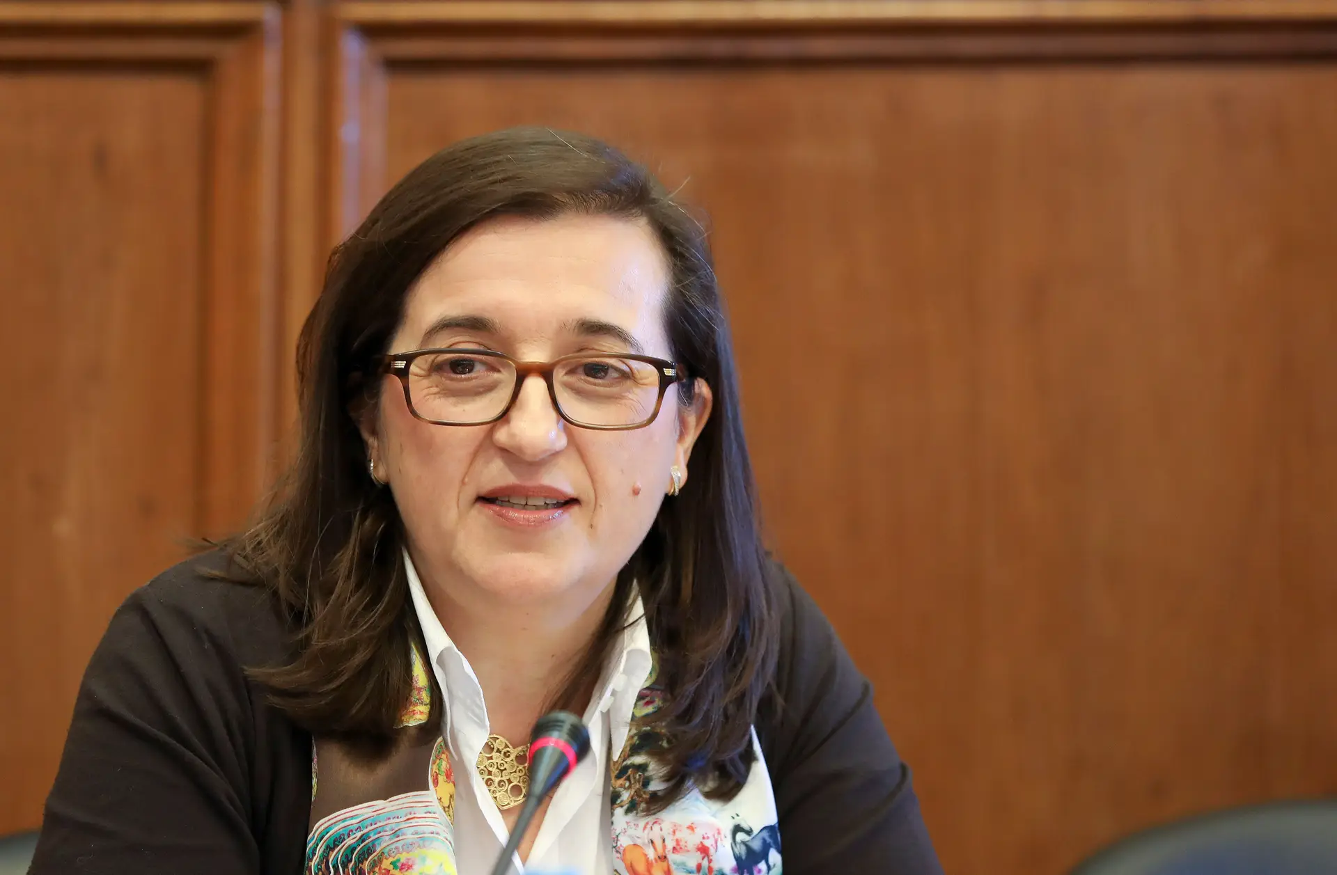 Helena Borges, diretora-geral da AT