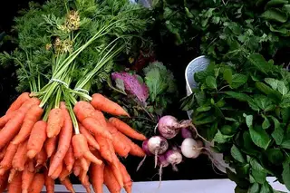 Continente já comprou €3 mil milhões à produção nacional