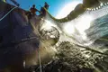 Este sábado acaba-se o peixe português para o ano todo
