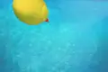 O verão nem sempre é azul