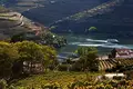 O Douro Superior em festa