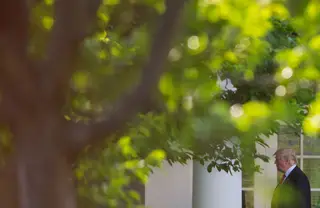 Donald Trump, presidente dos EUA, nos jardins da Casa Branca