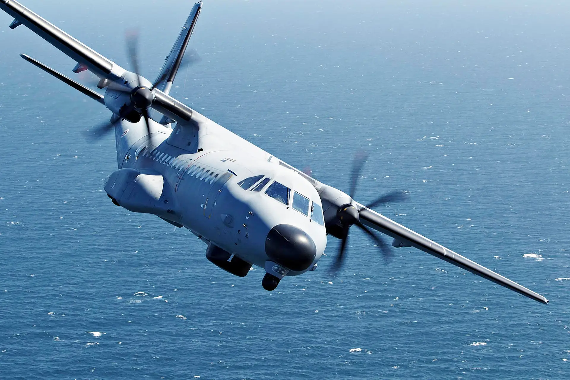 A Força Aérea tem ao seu serviço uma frota de 12 aeronaves C-295M, sete para transporte aéreo tático e as restantes cinco para vigilância marítima