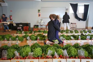 Ana e os pais costumam ir todas as semanas juntos buscar o cabaz da Fruta Feia