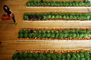 Jornalistas do Expresso vencem Prémio Cooperação e Solidariedade António Sérgio 2018