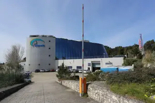 Impala avança com despedimento coletivo de 54 trabalhadores