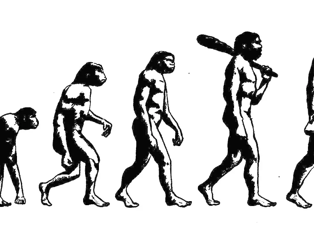 EVOLUINDO UM MACACO PARA O PRIMEIRO SER HUMANO