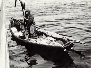 Os bacalhoeiros pintados de branco para assinalar a neutralidade portuguesa transformaram-se depois num bilhete-postal anacrónico, como era a pesca com recurso aos dóris