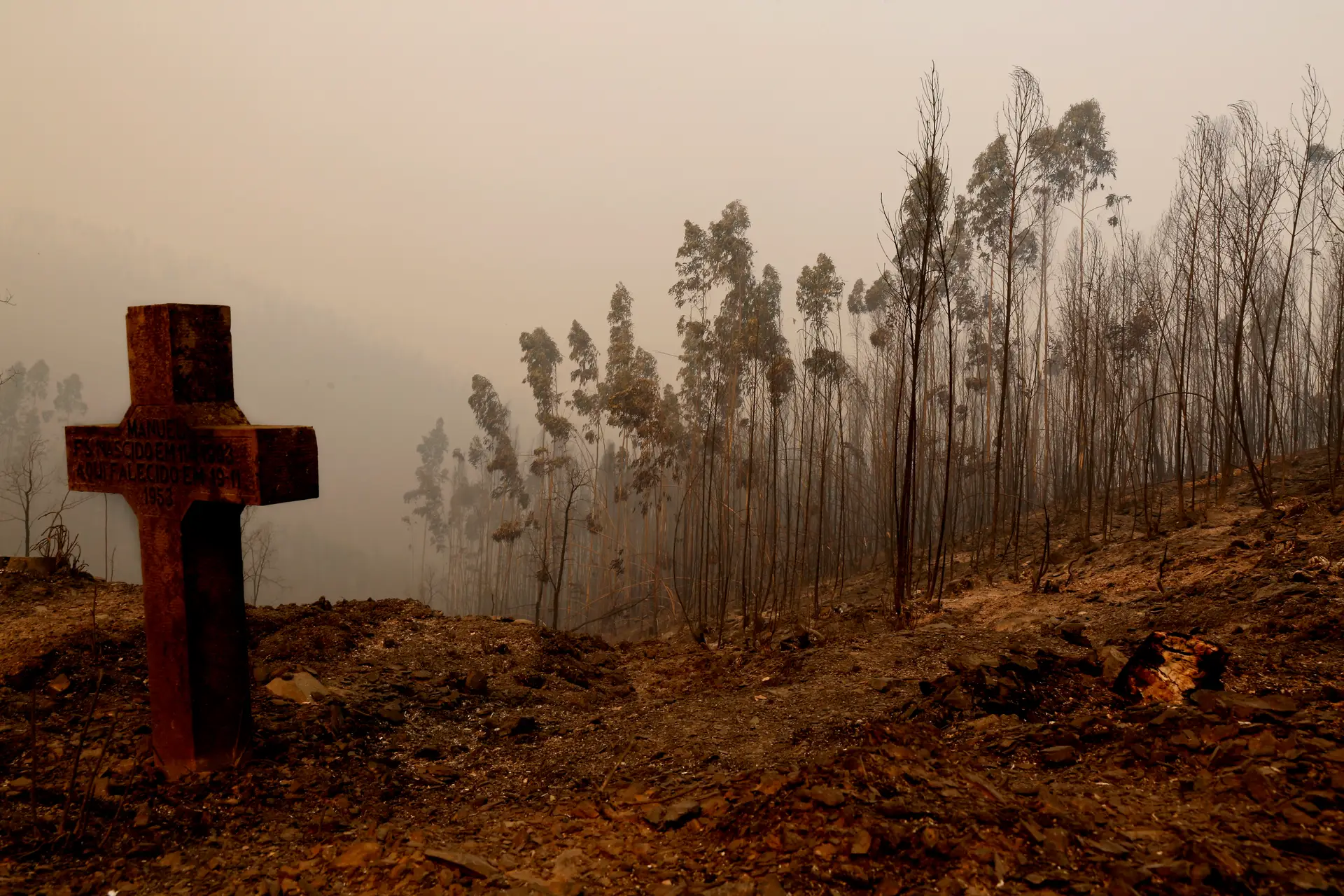 O incêndio devorou já 61 vidas em Pedrógão