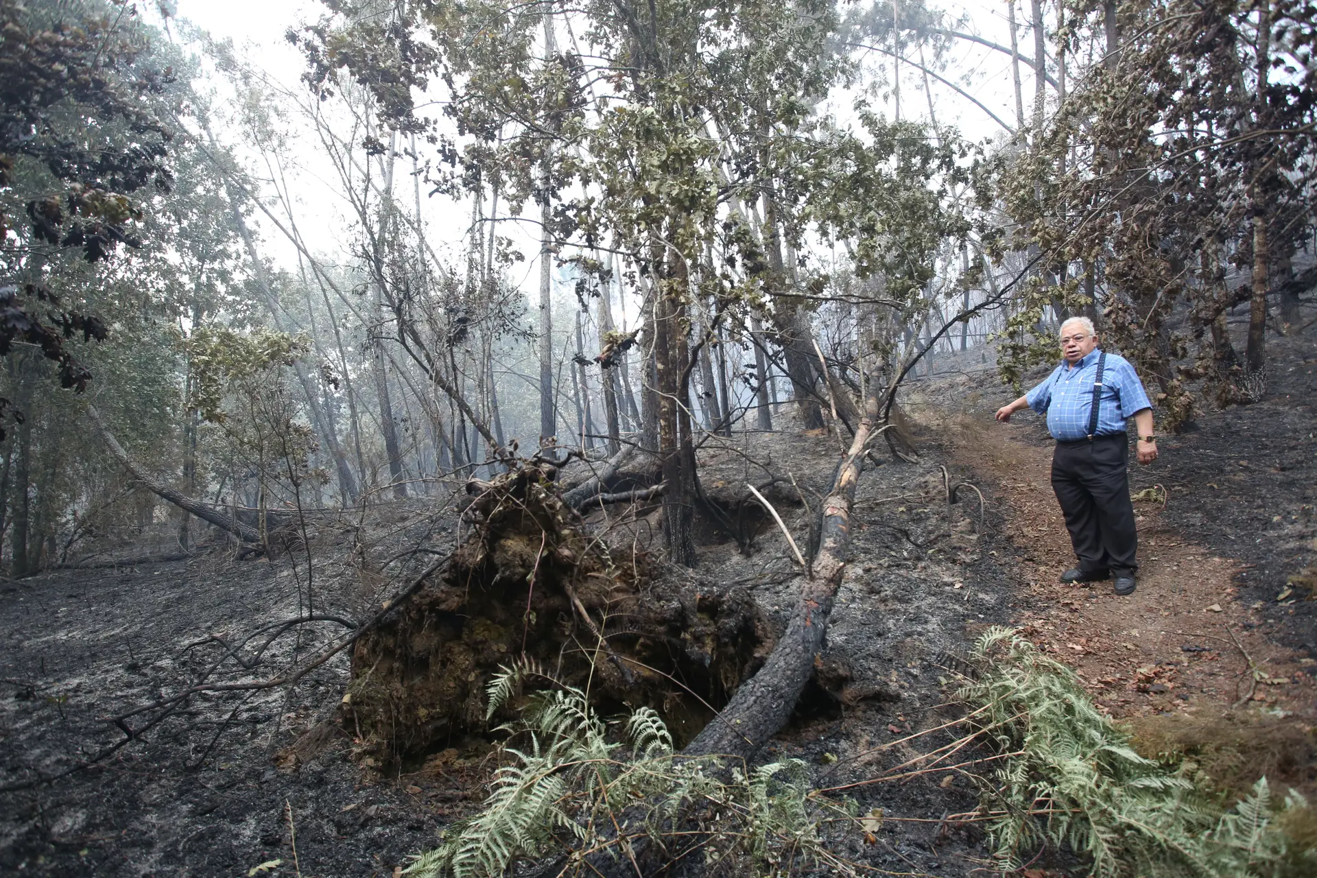 Miguel Serrano, que vive em Escalos Fundeiros, aponta para o alegado local de origem do incêndio: “Foi aqui que tudo começou”