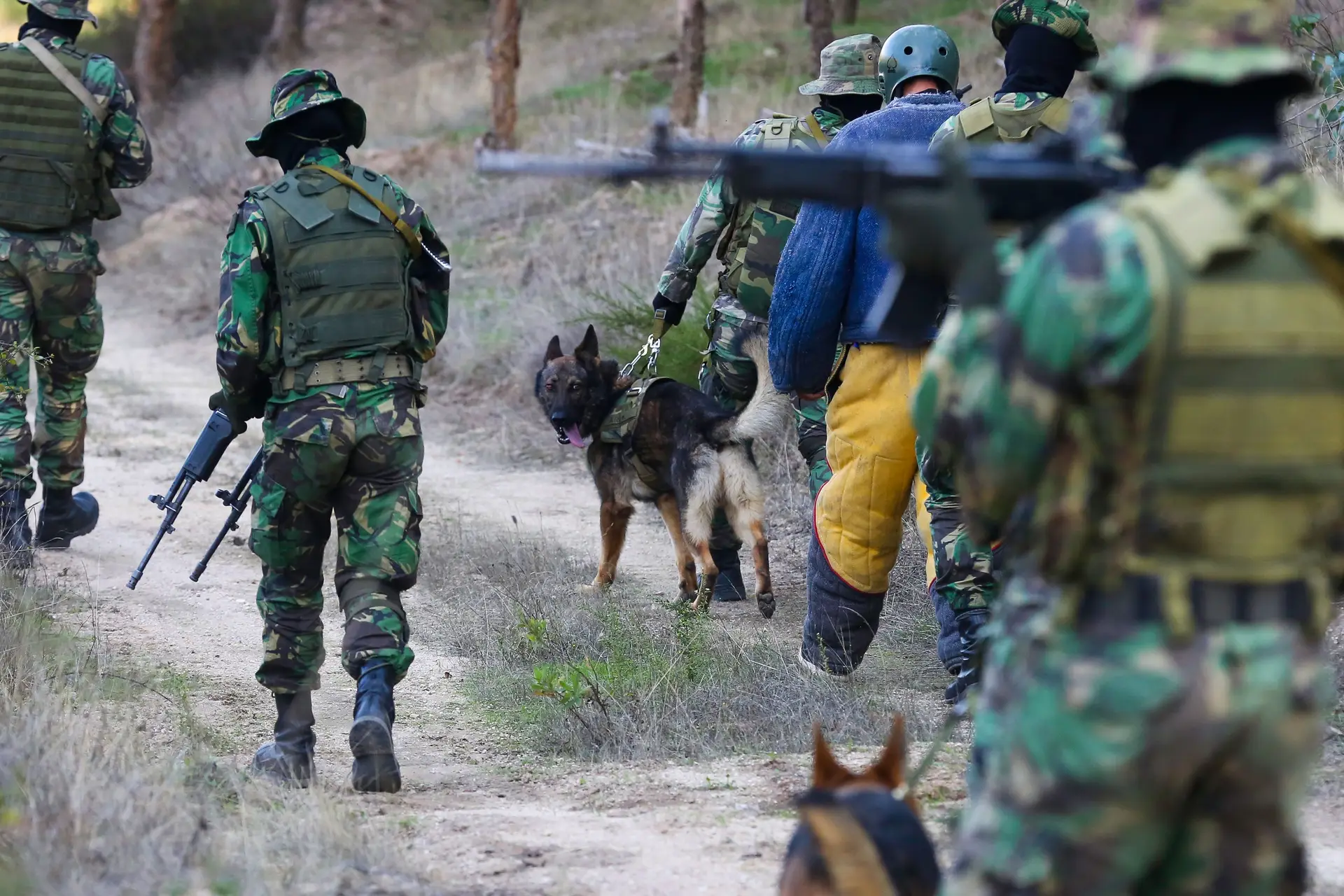 Grupo de paraquedistas em treino nas instalações de Tancos